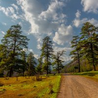 *** :: Аnatoly Gaponenko