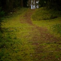 Тропинка :: fogmeadowww m