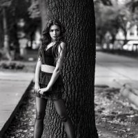 из альбома "Логика листьев". :: Валерий Чернышов