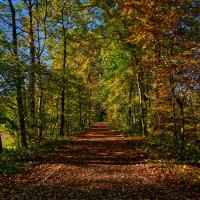 (°-°) :: Jakob Dick