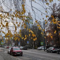 Последние листочки ноября :: Татьяна Машошина