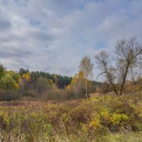 Палитра октября... :: Владимир Жданов