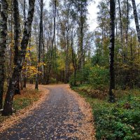 Так наступил октябрь 2023 :: Андрей Лукьянов