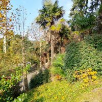 Санаторий Авангард :: Tata Wolf