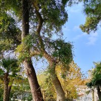 Санаторий Авангард :: Tata Wolf