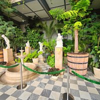 Оранжерея (зимний сад). :: Виктор Мухин