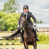 Конкур :: SanSan 