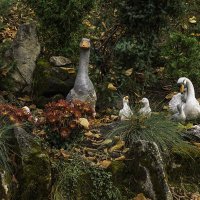 Инсталляция :: Игорь Сикорский Инсталляция :: Игорь Сикорский