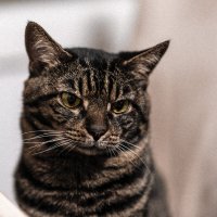 Старичок. :: Жора Житников