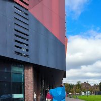 Калининградские котики. :: Ольга Калининградские котики. :: Ольга