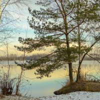 Утро на озере. :: Николай 