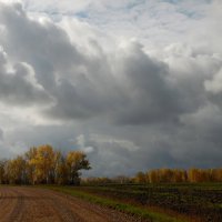 Тучи сгущаются. :: nadyasilyuk Вознюк