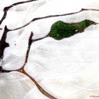 Графика предзимья.. :: Андрей Заломленков