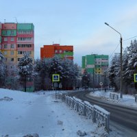 Заполярье поздней осенью :: Ольга 