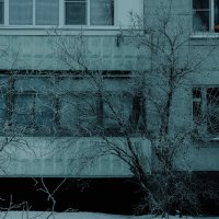 Дерево в снегу у панельного дома :: Анастасия Ильина