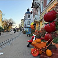 Прогулка по  ноябрьскому Зеленоградску. :: Валерия Комова