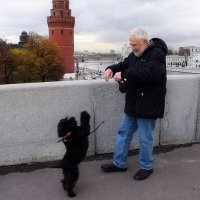 Друзья на одной волне. :: Татьяна Помогалова Друзья на одной волне. :: Татьяна Помогалова