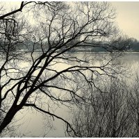 Унылая пора... :: Aleksandr Gal