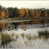 Осень уходит :: Aleksandr Gal Осень уходит :: Aleksandr Gal