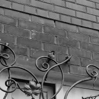 Птичка :: М С