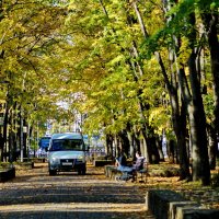 В парке... :: Николай Саржанов