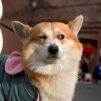 Подозрительный :: Алексей Смирнов