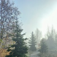 Туманное утро :: Tina Kott