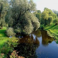 Территория Брестской крепости :: Gal` ka Территория Брестской крепости :: Gal` ka