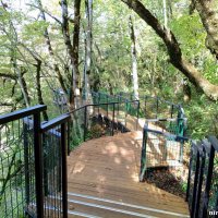 Адлер. Скайпарк :: Нина Бутко