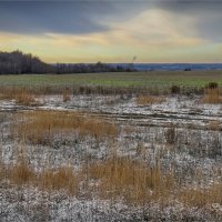 "Озимые в предзимье. Колея"© :: Владимир Макаров