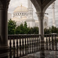 Шали :: Лилия . Шали :: Лилия .