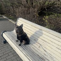 КофеMan :: Анна Камс