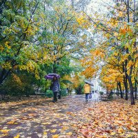 Осенний тротуар :: Игорь Сарапулов