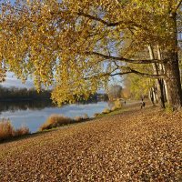 Музыка осени - это шум дождя, шелест падающих листьев... :: Галина 