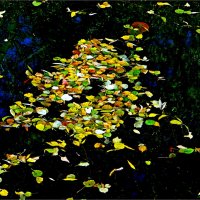 ЭТЮД :: Юрий Владимирович 34