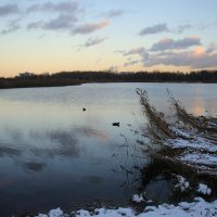 Парк Героев-пожарных. Ноябрь :: Наталья Герасимова Парк Героев-пожарных. Ноябрь :: Наталья Герасимова