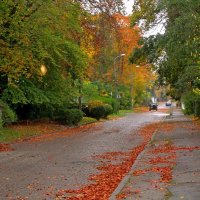 На улице Ленинградской :: Сергей Карачин На улице Ленинградской :: Сергей Карачин