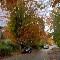 На улице Ленинградской :: Сергей Карачин