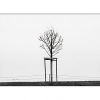 Петергоф :: Aleks Lebedev