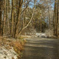 Предзимье. :: Николай 