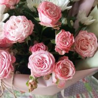 Розочки :: Елена Семигина