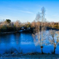 Природа в середине ноября (репортаж из поездок по области). :: Милешкин Владимир Алексеевич 