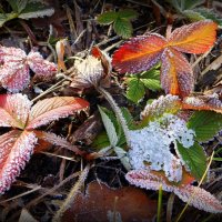 Морозные рассветы ноября... :: Андрей Заломленков Морозные рассветы ноября... :: Андрей Заломленков