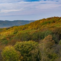 18 октября 2025 Адыгея :: Игорь Сикорский 18 октября 2025 Адыгея :: Игорь Сикорский