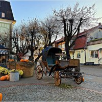 Утро города. :: Валерия Комова