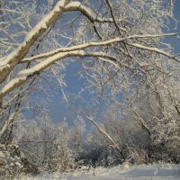 Зима :: Anna Ivanova Зима :: Anna Ivanova