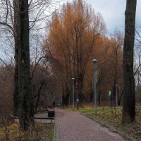 ПО Осеннему Парку :: юрий поляков