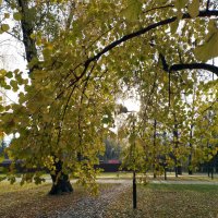 *** :: Валентина Береснева