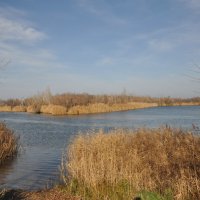 **** :: Виктор 