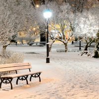 зимовий парк :: Степан Карачко зимовий парк :: Степан Карачко